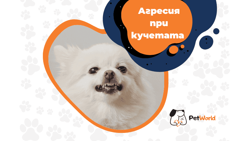 Агресия при кучетата