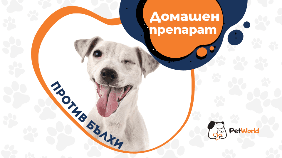 Домашен препарат срещу бълхи