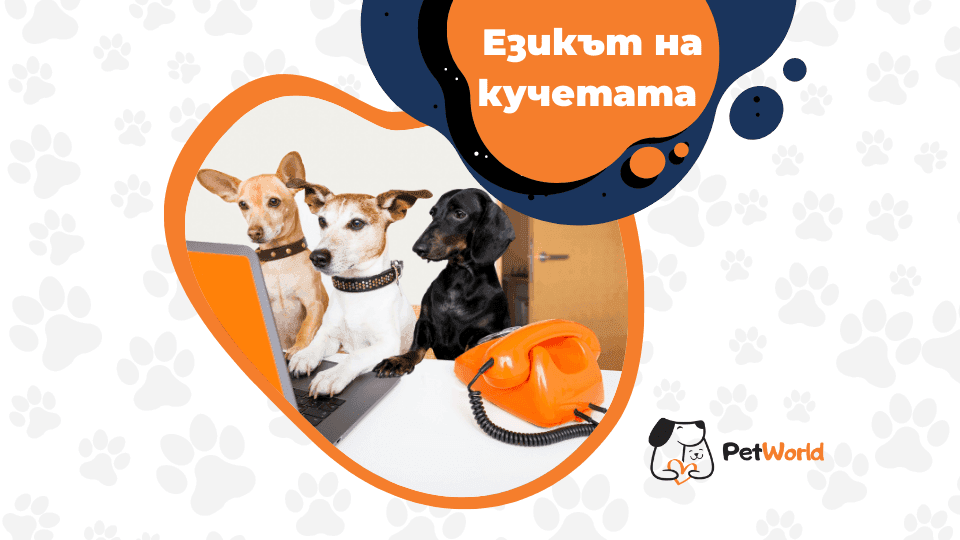 Езикът на кучетата