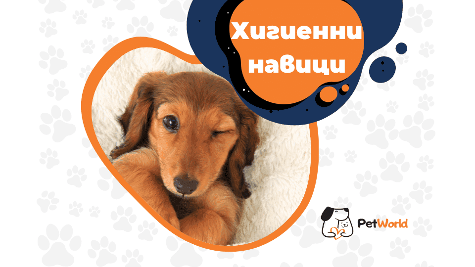 Хигиенни навици куче