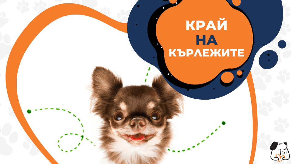 край на кърлежите